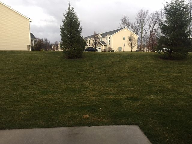 2nd image of 6 Mulberry Ln
