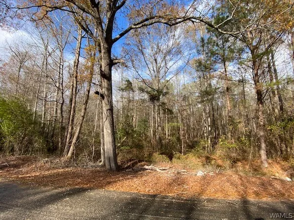 0 County Road 8, Reform, AL 35481