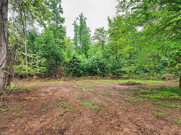 3rd image of LOT 7 Burnt Cabin Rd