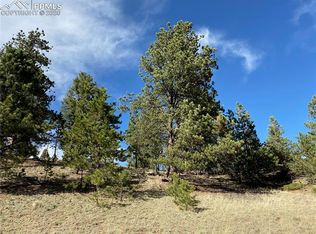 County Road 512, Divide, CO 80814