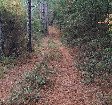 3rd image of 0 S River Rd