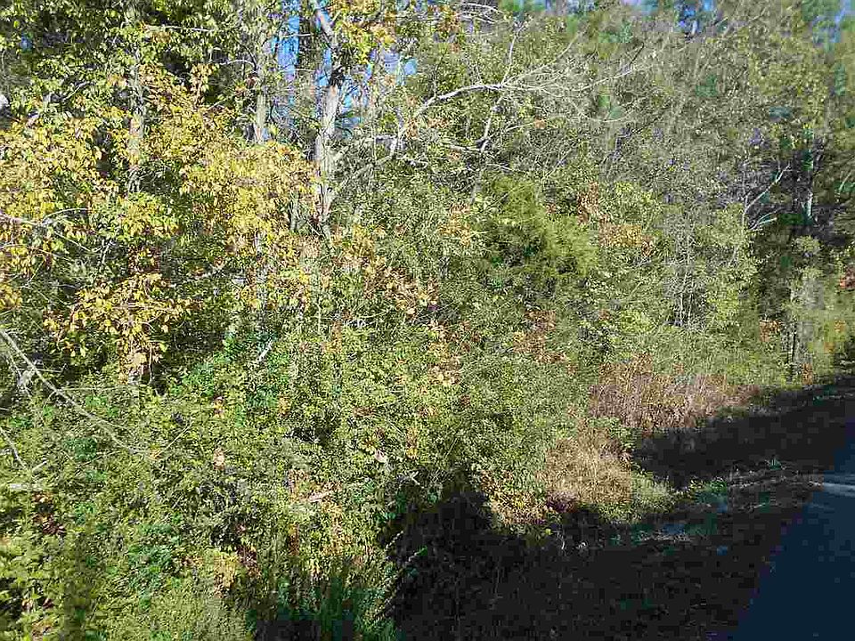 2nd image of LOT 11 Leadvale Rd