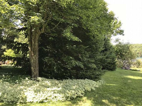 4th image of 4963 Lake Lucerne Dr