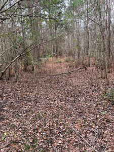 0 Swamp Edge Dr, Valdosta, GA, 31601