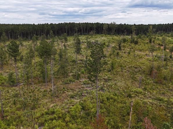 Highway 4 LOT WP002, Grayson, LA 71435