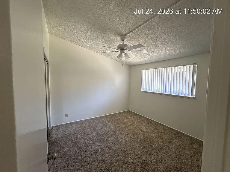 tup245 — Photo 15