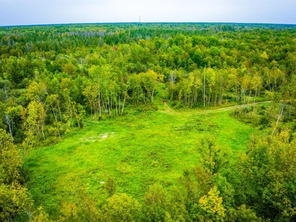 12479 Battle Rd NE, Blackduck, MN 56630