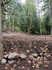 9141 303rd Pl SE, Issaquah, WA, 98027