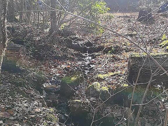 4th image of 4720 Jones Gap Rd