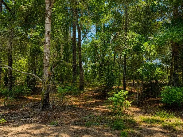 525 Baden Powell Rd, Hawthorne, FL 32640