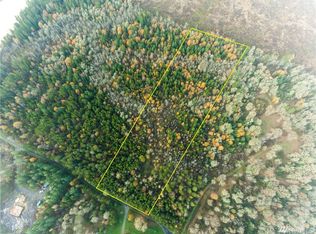 287 Pine Tree Rd, Toledo, WA 98591