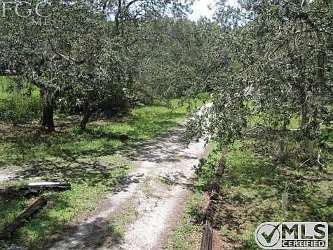 Driveway view from front porch.