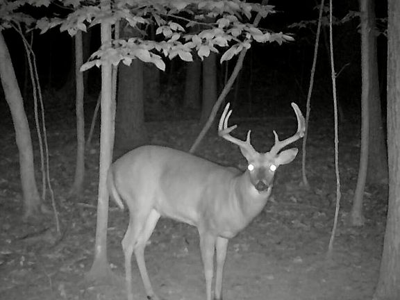 3rd image of S Pittsford Rd #-v/l