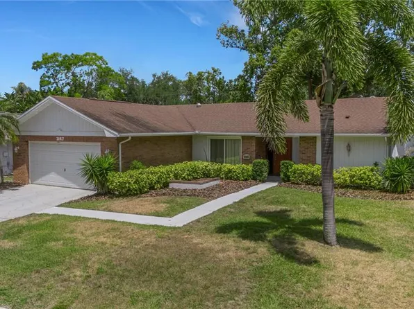3147 E Dorchester Dr, Palm Harbor, FL 34684