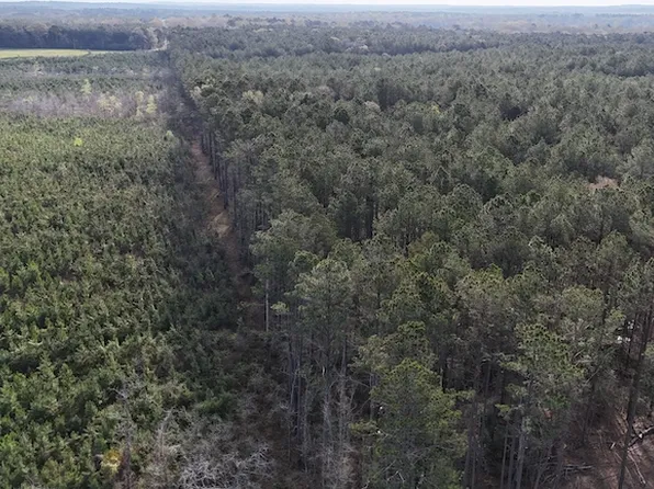 Highway 478 Lot Wp001, Robeline, LA 71469