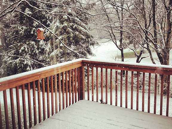 Deck from dining room view