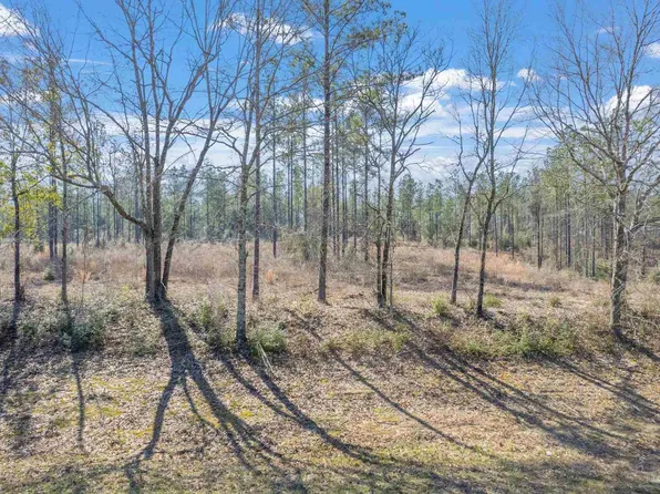 LOT 3 Highway 178, Jay, FL 32565