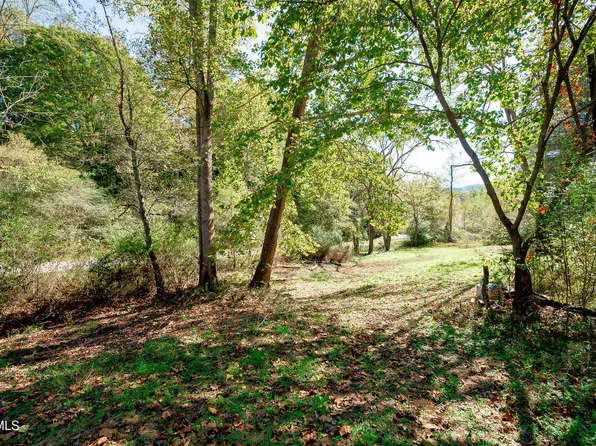 0 Ponderosa Rd, Nickelsville, VA 24271