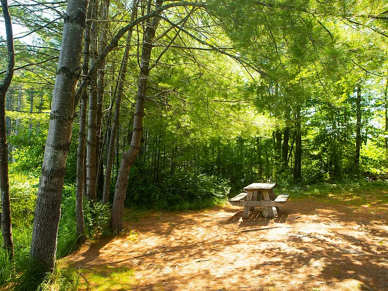 5 Anglers Rd — Photo 26