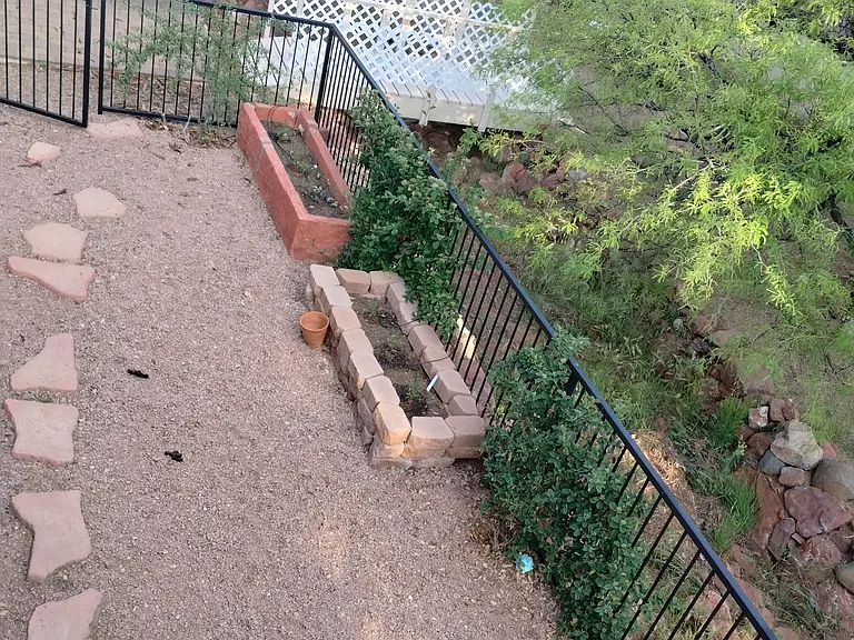 Fenced back yard