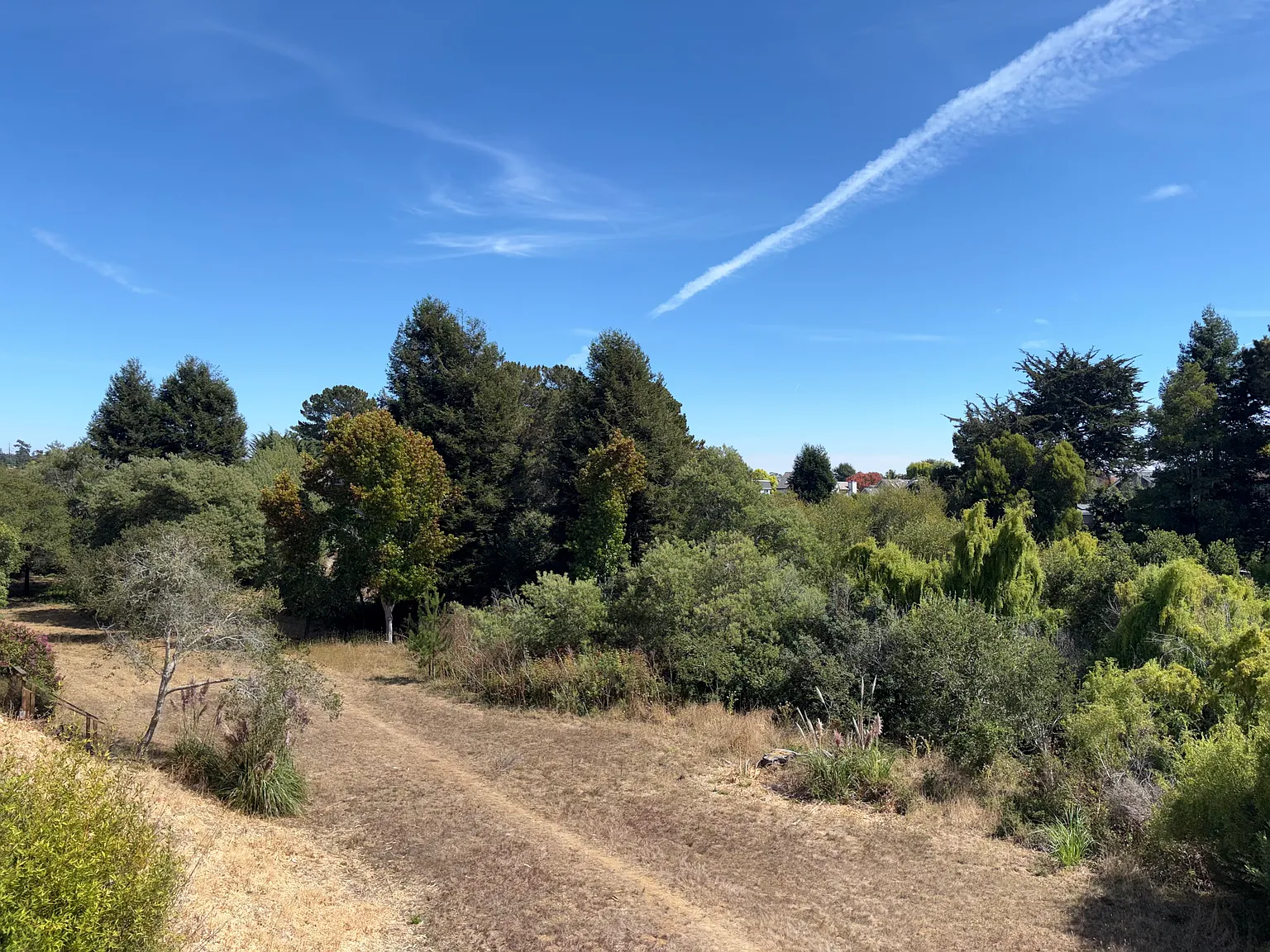 3 bed, 1587 sqft, $5,100 — Photo 3