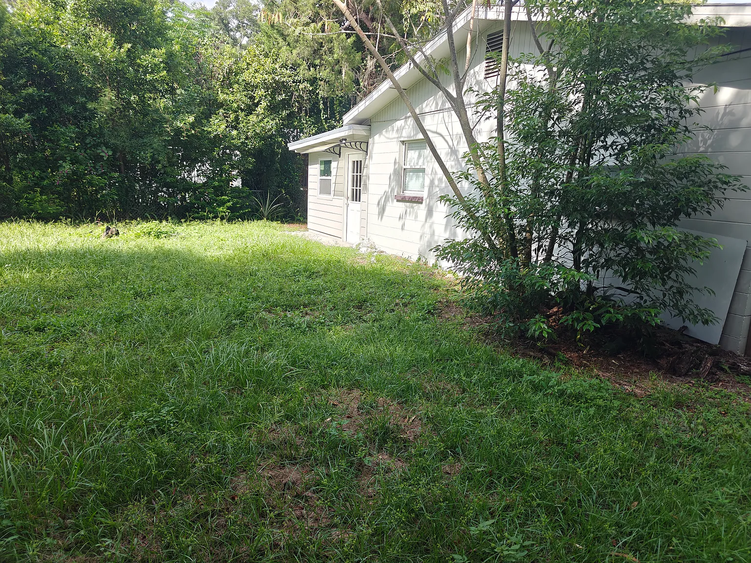 4 bed, 1262 sqft, $2,300 — Photo 2