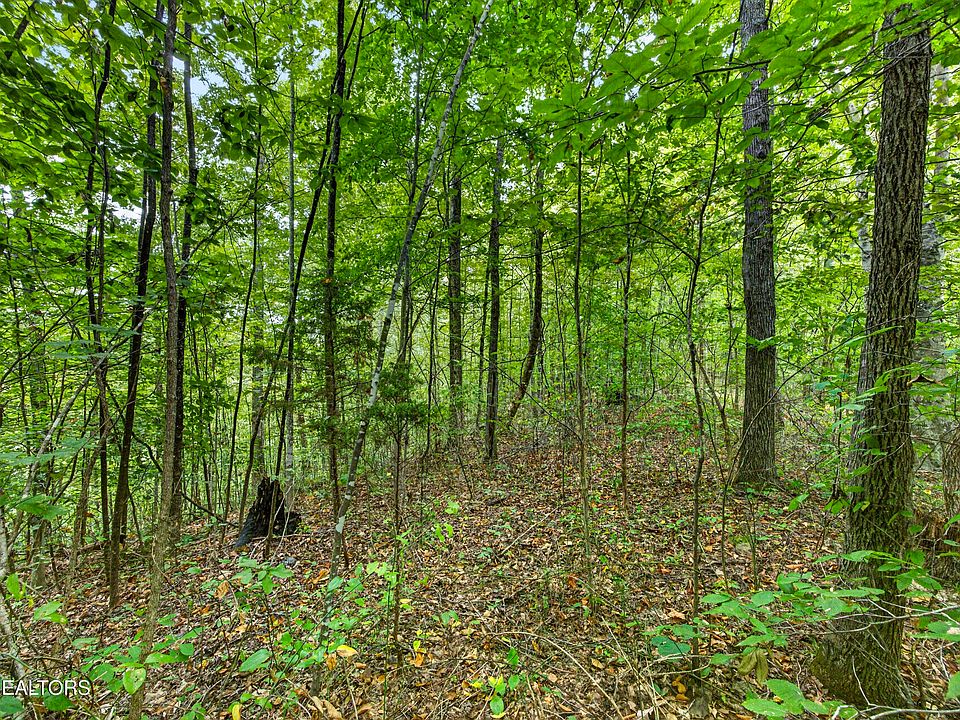 1st image of 31 Timber Ridge Ln