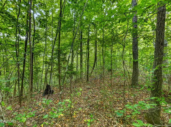 31 Timber Ridge Ln, Celina, TN 38551