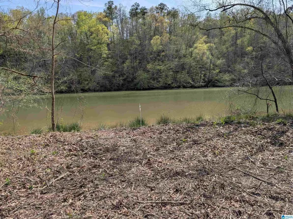 LOT 1 River Crest Dr #A, Cordova, AL 35550