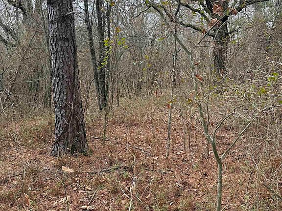 3rd image of LOT 21 Griffin Farm Rd