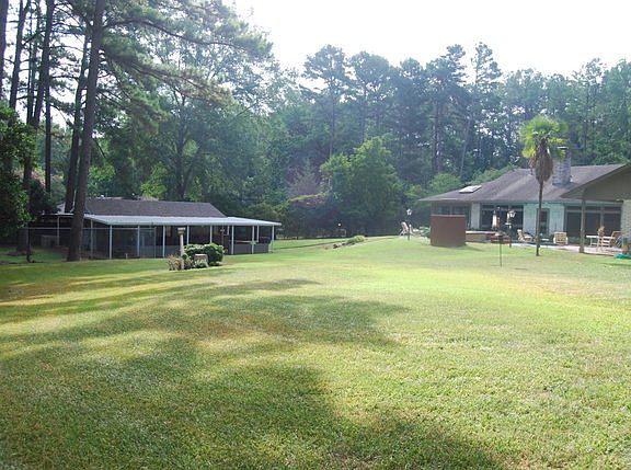 back yard