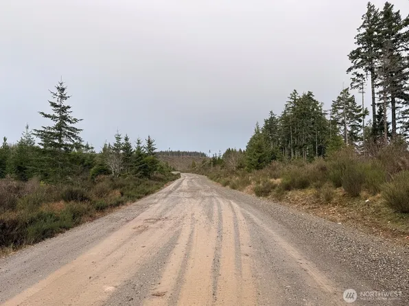 1 XX West California Road, Shelton, WA 98584