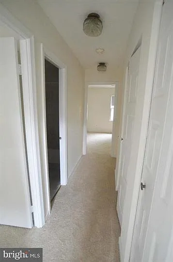5533 Cabat Lake Ct — Photo 6