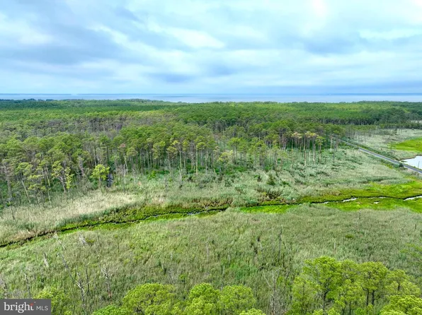0 Hoopers Neck Rd, Taylors Island, MD 21669
