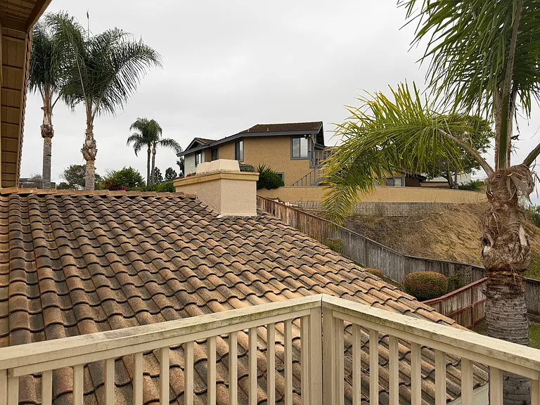 6833 Urubu St — Photo 38