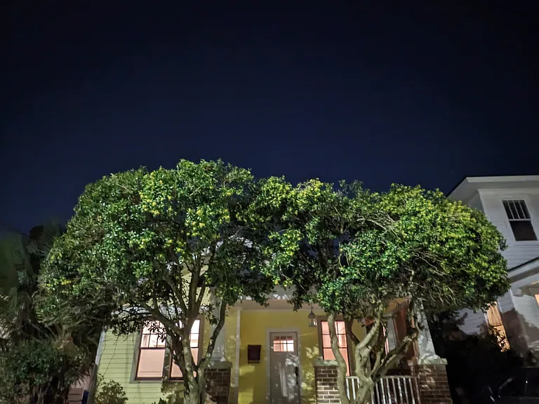 75 Maple St — Photo 28