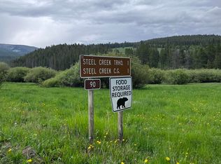 Steel Creek Road Multiple #20, Wisdom, MT 59761