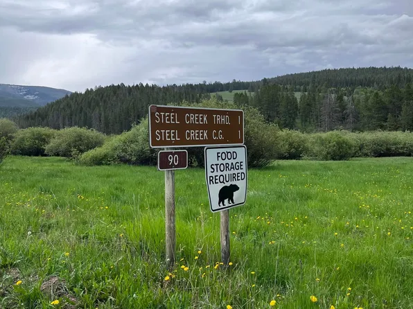 Steel Creek Road Multiple #20, Wisdom, MT 59761