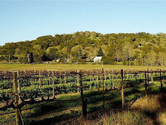 View of 350 Acres of Vineyards