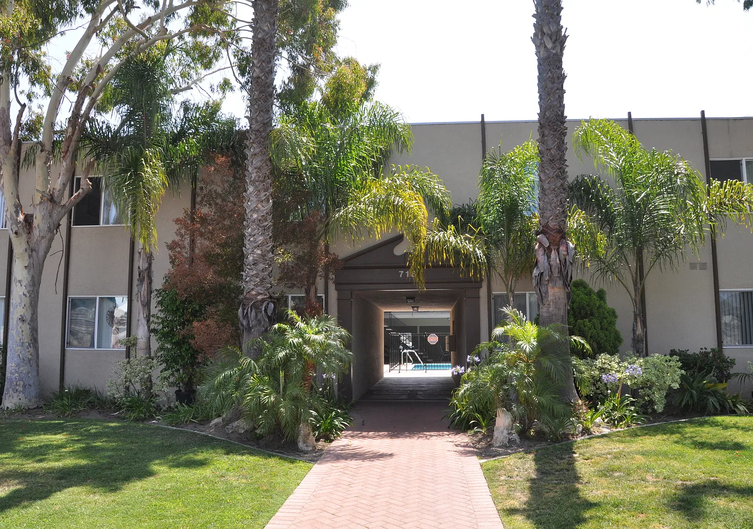 Pinnacle Amapola LLC — Photo 2