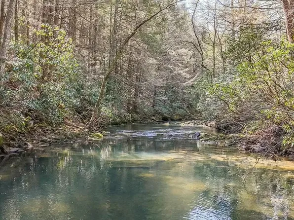 460 Twin Bridge Rd, Deer Lodge, TN 37726