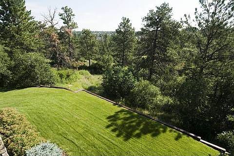HORNED OWL - BACKYARD FLAT