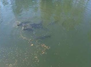 26617 Creek Cv, Perkinston, MS 39573