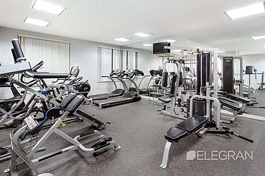 Rented by (Legacy) Elegran