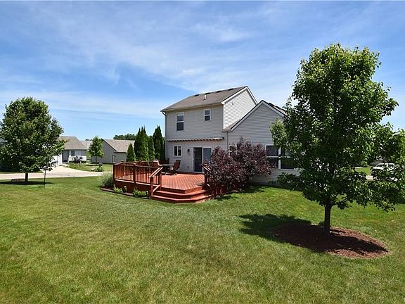 Rear Corner of the Backyard