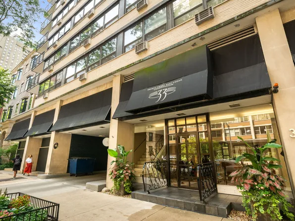 33 E Cedar St APT 3F, Chicago, IL 60611
