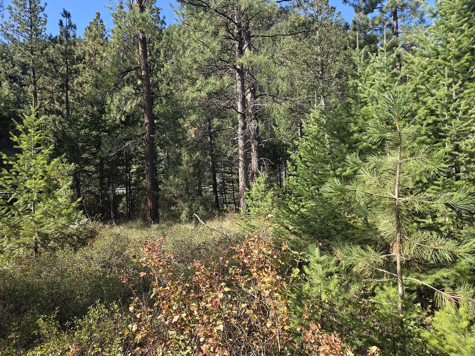 Studio, 700 sqft, $1,500 — Photo 4