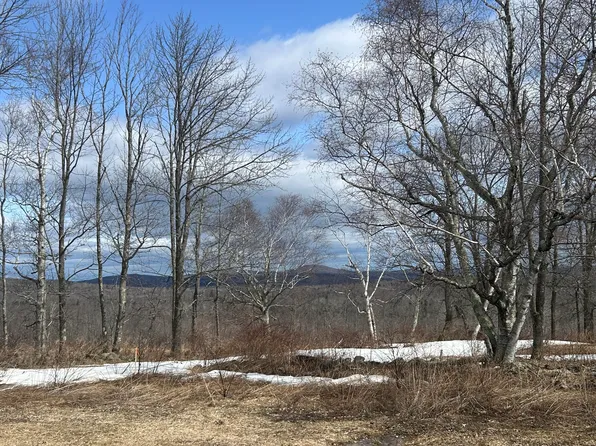 Lot 1 Route 148, Industry, ME 04938