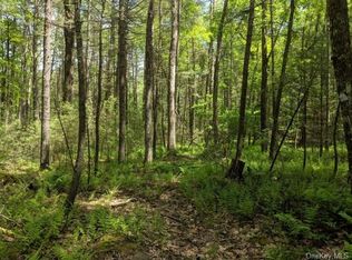 Haring Rd, Glen spey, NY 12737