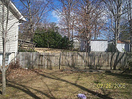 back yard 2